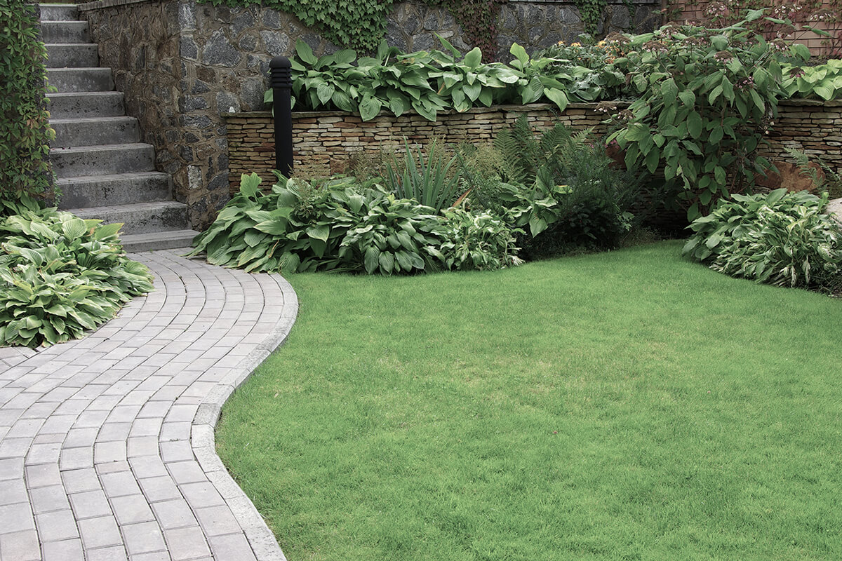 Welcome to Charles Jones Landscaping